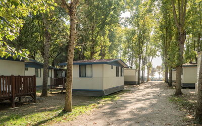 Accommodation:&nbsp;Punta Navaccia 604.1