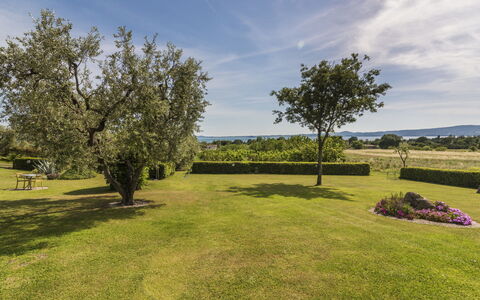 Lago di Bolsena 663: Sky, Blue, Grass, Tree, Green, Natural Landscape, Landscape, Plain, Shrub, Grassland