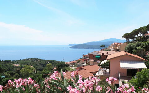 Capoliveri 620: Property, Flower, Plant, Coast, Spring, Tourism, Bay, Real Estate, Sea, Vacation