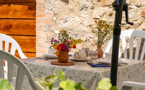 Travale 601: Flower, Plant, Property, Furniture, Flowerpot, Window, Table, Houseplant, Wood, Orange