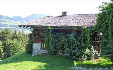 Alte Sahnealm: Sky, Plant, Building, Natural Landscape, Land Lot, Grass, Tree, Cottage, Rural Area, Groundcover