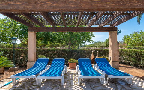 Son Viquet: Plant, Furniture, Shade, Outdoor Furniture, Tree, Leisure, Real Estate, Sunlounger, Landscape, Grass