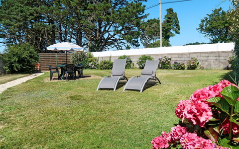 Ty Ménez: Flower, Plant, Sky, Property, Tree, Nature, Botany, Shade, Land Lot, Grass
