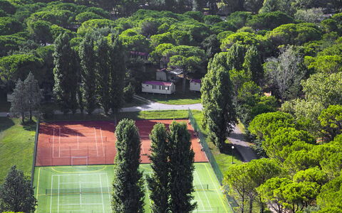 Grado 653: Property, Plant, Natural Landscape, Botany, Building, House, Land Lot, Hedge, Vegetation, Grass