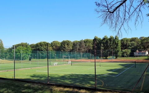 Grado 653: Sky, Plant, Tree, Fence, Land Lot, Shade, Grass, Mesh, Wire Fencing, Sports Equipment