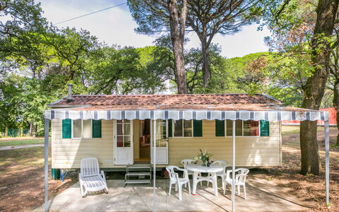 Accommodation:&nbsp;Belvedere Pineta Camping Village 653.3