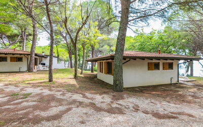 Accommodation:&nbsp;Belvedere Pineta Camping Village 653.2