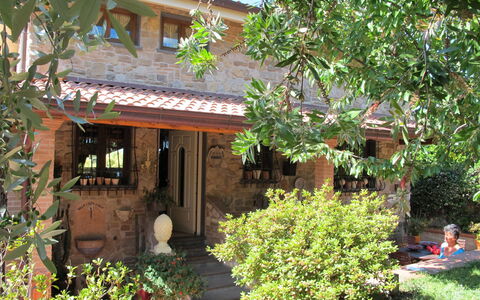 Capo Corso: Plant, Building, Window, Flowerpot, House, Shade, Tree, Houseplant, Cottage, Neighbourhood