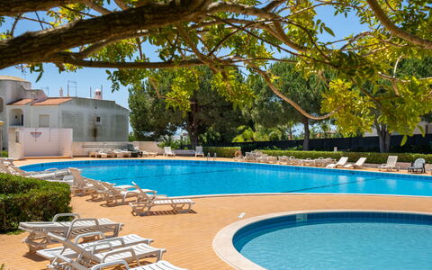 Quinta Do Torrejão: Water, Plant, Property, Swimming Pool, Sky, Nature, Azure, Shade, Outdoor Furniture, Tree