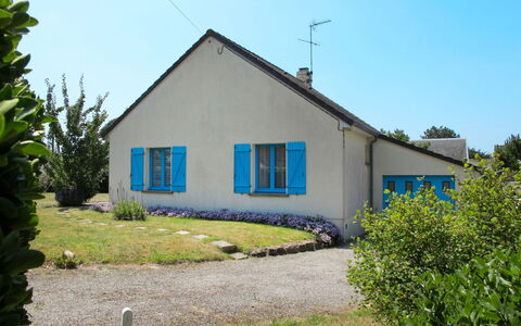 Colibri: Plant, Sky, Building, Window, House, Tree, Land Lot, Cottage, Residential Area, Grass