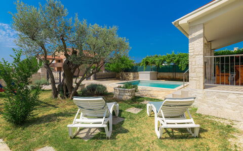 Goldi: Property, Residential Area, Home, Real Estate, House, Yard, Tree, Backyard, Estate, Building