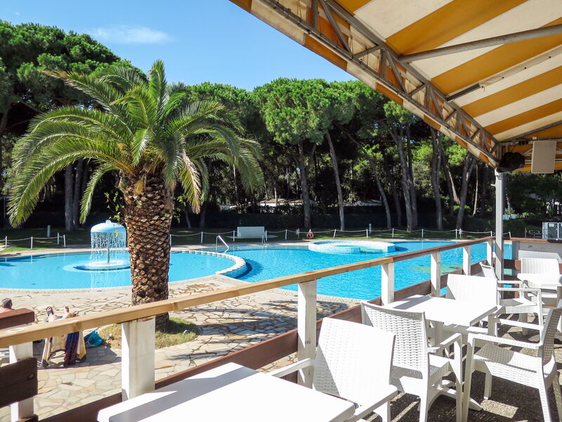 Accommodation:&nbsp;Ischia 602.1