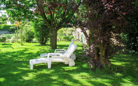 Gîte de L'Epine: Plant, Furniture, Plant Community, Outdoor Bench, Tree, Outdoor Furniture, Natural Landscape, Shade, Woody Plant, Bench