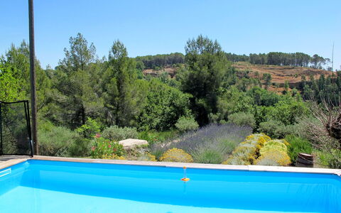 Les Oliviers: Water, Sky, Plant, Swimming Pool, Chair, Nature, Azure, Blue, Tree, Shade