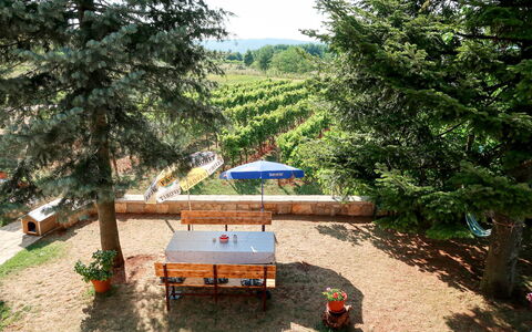 Labin 797: Property, Tree, Nature Reserve, Real Estate, House, Table, Plant Community, Rural Area, Furniture, Building
