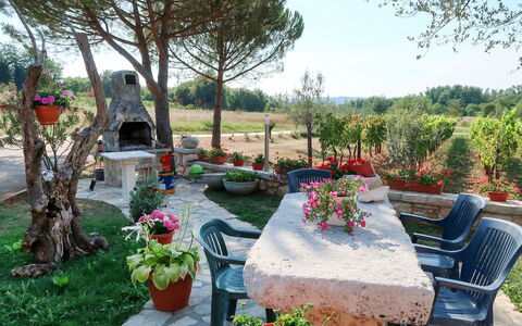 Labin 797: Garden, Yard, Property, Backyard, Landscaping, Botany, Tree, Landscape, Plant, Flower