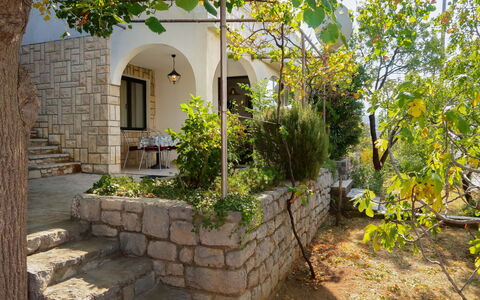 Donata: Plant, Building, Window, Leaf, House, Road Surface, Tree, Land Lot, Cottage, Biome