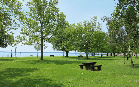 Csonka: Water, Sky, Cloud, Water Resources, Azure, Tree, Natural Landscape, Beach, Coastal And Oceanic Landforms, Plant