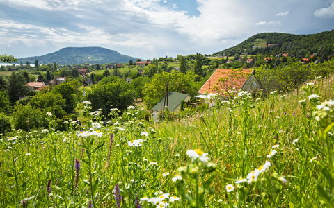 Kopacsi: Green, Mountainous Landforms, Nature, Vegetation, Hill, Natural Landscape, Grassland, Summer, Cloud, Landscape