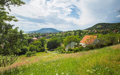 Kopacsi: Green, Mountainous Landforms, Nature, Grass, Leaf, Hill, Vegetation, Natural Landscape, Grassland, Landscape