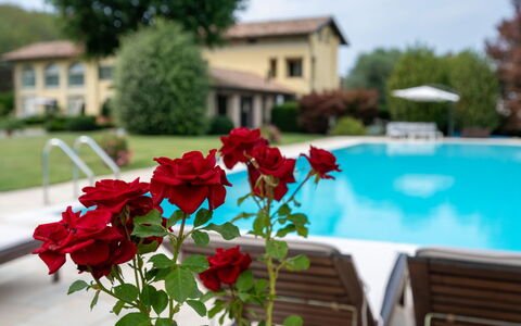 Villa Carlotta: Flower, Water, Plant, Sky, Petal, Window, Swimming Pool, Tree, Summer, Building
