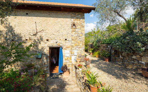 Casa U Baregu: Plant, Property, Sky, Building, Door, Window, Architecture, Tree, House, Rural Area