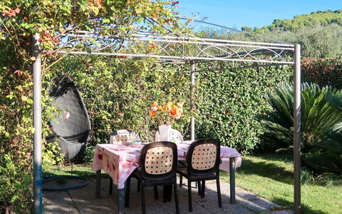 Roseto: Plant, Flower, Furniture, Property, Plant Community, Chair, Sky, Leaf, Nature, Outdoor Table