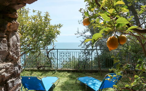 Orizzonte: Sky, Plant, Nature, Chair, Tree, Shade, Biome, Grass, Outdoor Furniture, Natural Landscape