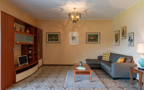 Gaggetto: Picture Frame, Furniture, Couch, Interior Design, Houseplant, Wood, Lighting, Living Room, Floor, Flooring