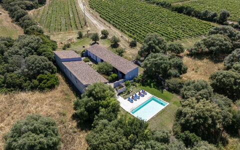 Oliviola: Estate, House, Residential Area, Swimming Pool, Farmhouse, Home, Human Settlement, Cottage, Resort, Hacienda