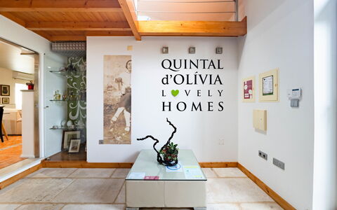Nazaré 611: Plant, Wood, Houseplant, Interior Design, Building, Flooring, Floor, Wall, Art, Sculpture