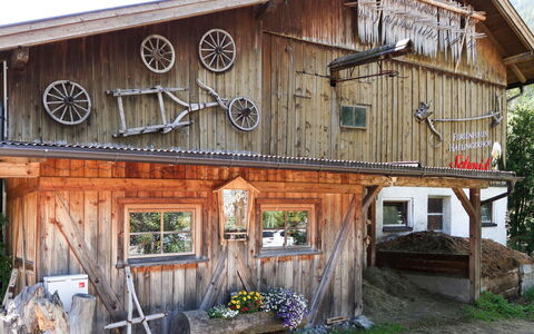 Feichten im Kaunertal 651: Plant, Property, Window, Building, Sky, Wood, Door, House, Cottage, Siding