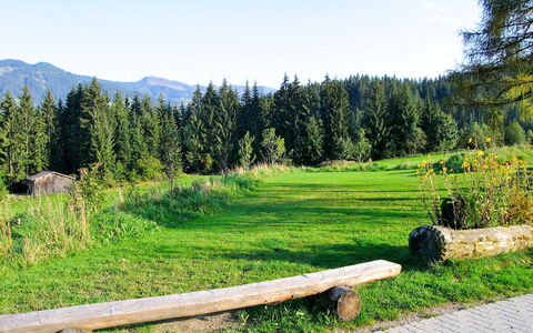 Schwalbenhof: Natural Landscape, Wilderness, Nature, Natural Environment, Meadow, Tree, Mountain, Nature Reserve, Pasture, Grassland