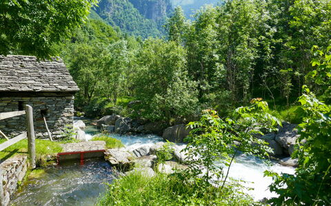 Rustico Diego: Water, Sky, Plant, Natural Landscape, Golf Course, Tree, Vegetation, Land Lot, Highland