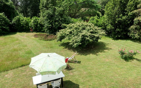 Les Genêts: Plant, Plant Community, Tree, Sky, Shade, Natural Landscape, Grassland, Grass, Groundcover, Landscape