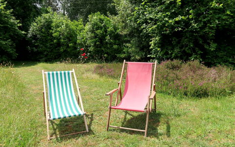 Les Genêts: Plant, Furniture, Natural Landscape, Grass, Tree, Outdoor Furniture, Leisure, Wood, Groundcover, Shade