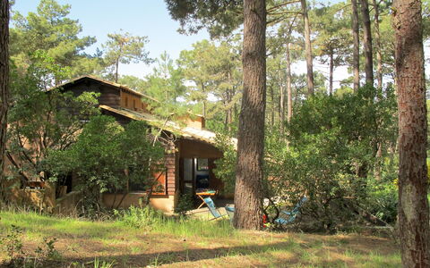 Les Maisons de la Forêt: Plant, Building, Sky, Tree, Shade, House, Natural Landscape, Land Lot, Grass, Cottage