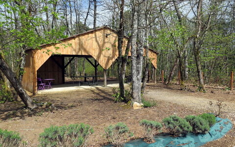Au Cayroux: Plant, Plant Community, Ecoregion, Tree, Natural Landscape, Shade, Vegetation, Land Lot, Wood, Biome