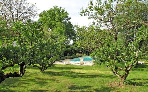 Peuchaud: Plant, Sky, Plant Community, Natural Landscape, Shade, Cloud, Land Lot, Tree, Grass, Landscape