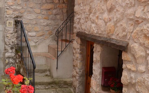 Schöner Stern: Plant, Building, Flower, Property, Window, Flowerpot, Door, Houseplant, Wood, Brickwork