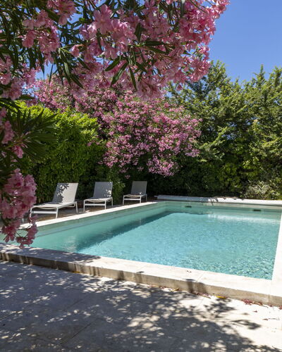 Maussane: Swimming Pool, Shrub, Garden, Outdoor Furniture, Shade, Backyard, Landscaping, Resort, Yard