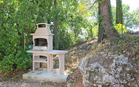 L'Esquirou: Plant, Plant Community, Natural Landscape, Tree, Wood, Groundcover, Landscape, Grass, Shrub, Trunk