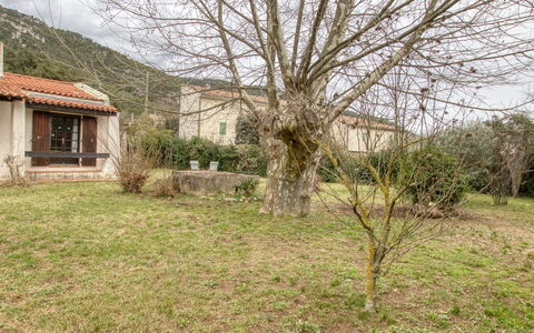 Le Hameau des Launes: Plant, Property, Sky, Building, Window, Natural Landscape, Tree, Grass, House, Landscape