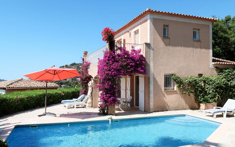 Yalou: Water, Plant, Sky, Building, Flower, Window, Azure, Swimming Pool, Blue, Shade