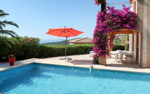 Yalou: Water, Plant, Sky, Flower, Property, Building, Swimming Pool, Blue, Azure, Outdoor Furniture