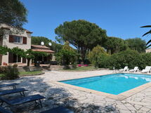 Le Bleu Liseron (Gri160)