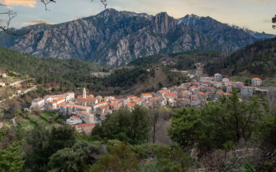 Migone de Sampolo