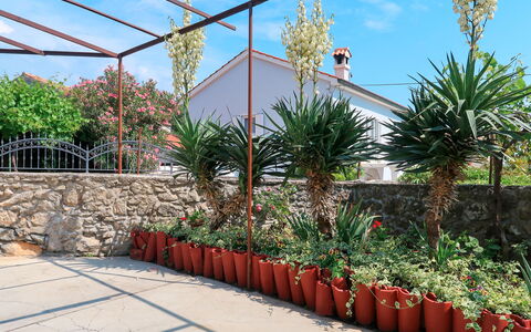 Mateja: Flower, Sky, Plant, Property, Plant Community, Botany, Cloud, Architecture, Vegetation, Biome