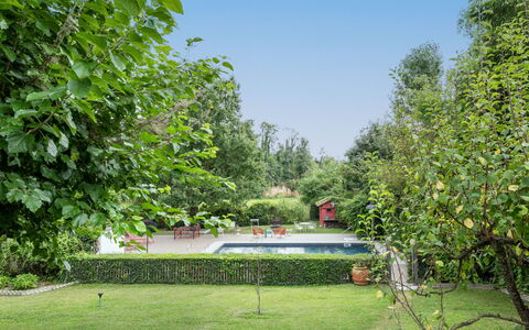 Dei Ciliegi: Plant, Sky, Natural Landscape, Botany, Tree, Vegetation, Land Lot, Shade, Biome, Grass