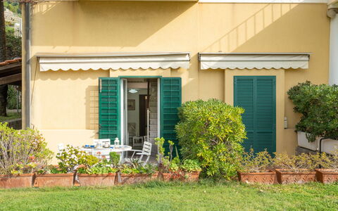 Botti: Plant, Building, Window, Door, House, Land Lot, Grass, Cottage, Shade, Siding